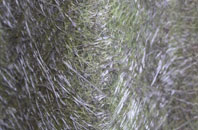 Team Valley fibreglass roof work